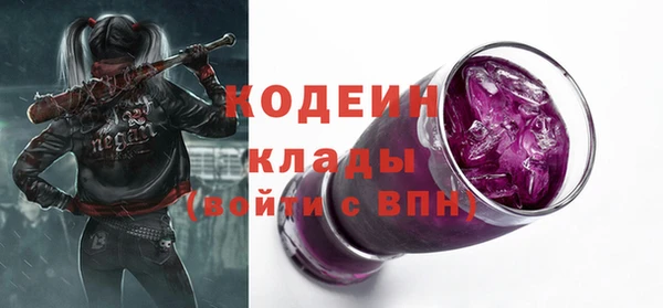 тгк Гусев