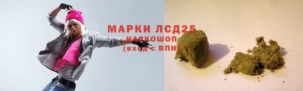 тгк Гусев