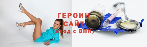 тгк Гусев