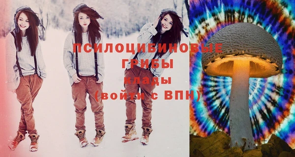МДПВ Горняк