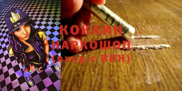 шишки Гусь-Хрустальный