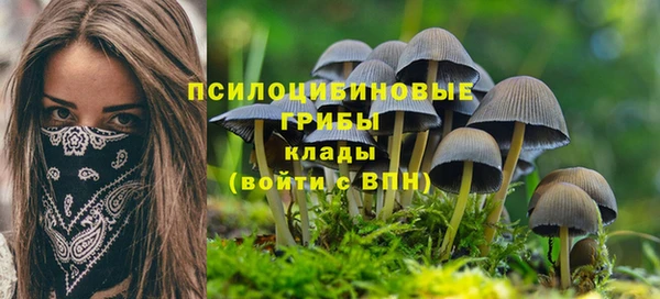 каннабис Горнозаводск