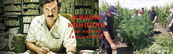 тгк Гусев
