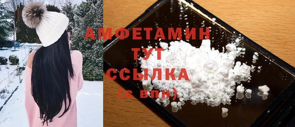 шишки Гусь-Хрустальный