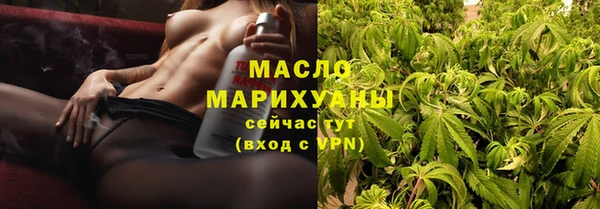 шишки Гусь-Хрустальный