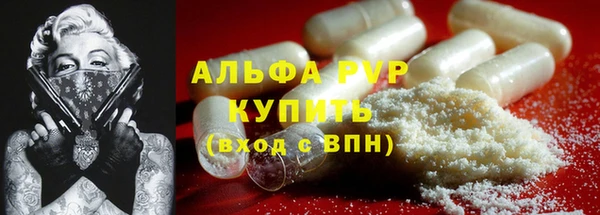 тгк Гусев