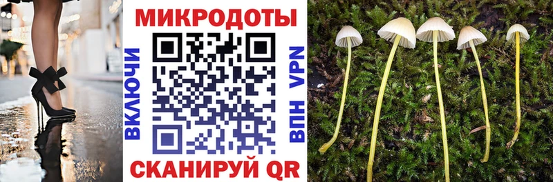 как найти   Железногорск-Илимский  Псилоцибиновые грибы мицелий 
